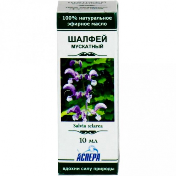 Масло шалфея в домашних условиях Масло шалфея в домашних условиях