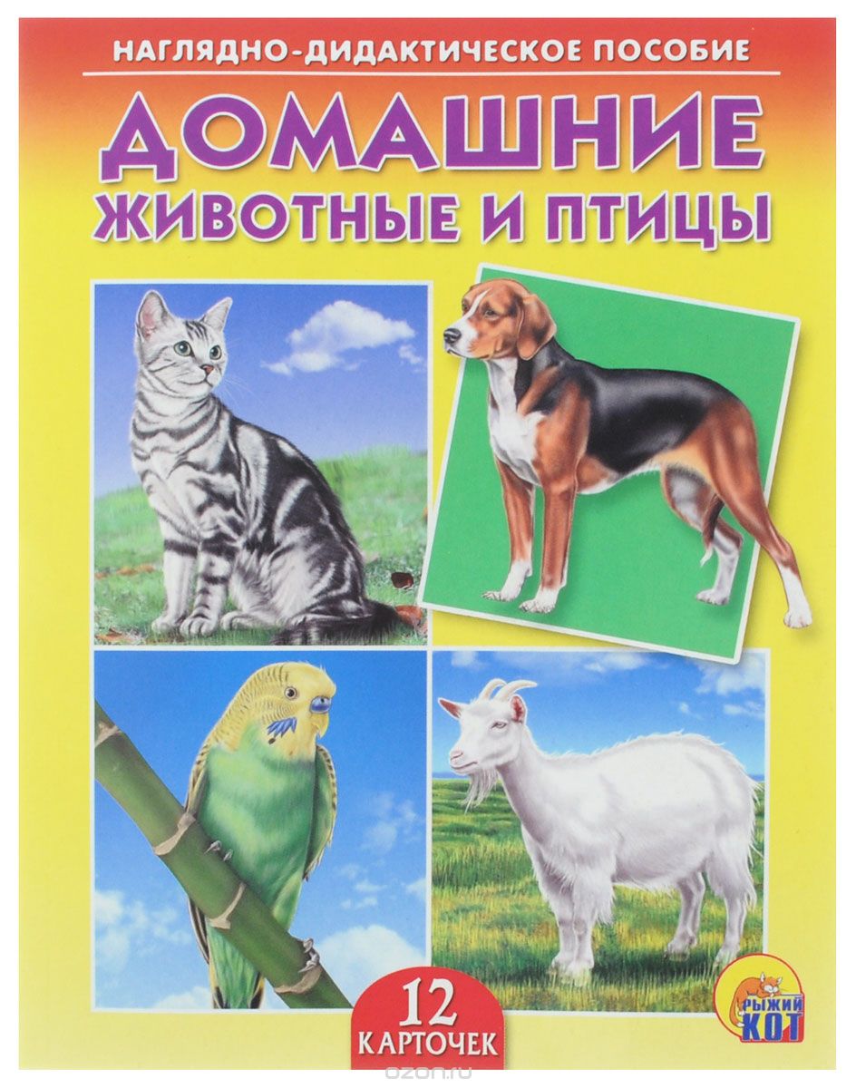 Наглядно дидактическое. Наглядное пособие домашние животные. Дидактическое пособие домашние животные. Наглядно-дидактическое пособие домашние животные и птицы. Демонстрационный материал домашние животные.