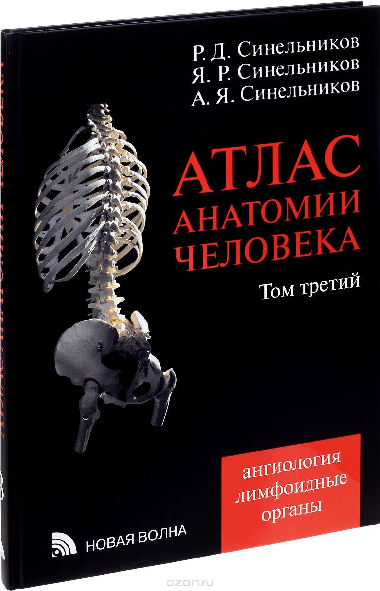 Синельников анатомия. Атлас анатомии человека 1 том р.д Синельников. Атлас по анатомии Синельников 1 том. Атлас анатомии человека р.д. Синельникова в 4 томах. Атлас анатомии человека Синельников 2016.