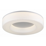 Накладной светильник ST-Luce Lordin SL886.502.01_LED