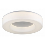 Накладной светильник ST-Luce Lordin SL886.512.01_LED