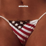 THE BLACK CROWES BLACK CROWES - AMORICA. (2 LP)