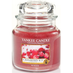 Ароматическая свеча Yankee Candle "Клюква со льдом / Cranberry Ice", 65-90 ч