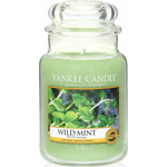 Ароматическая свеча Yankee Candle "Дикая мята / Wild Mint", 110-150 ч