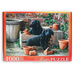 Masterpuzzle Пазл Щенки черного лабрадора АЛМП1000-6908