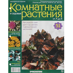 Журнал "Комнатные и садовые растения. От А до Я" №51