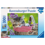 Ravensburger Пазл Пушистый соня