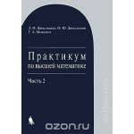 Практикум по высшей математике. В 2 частях. Часть 2