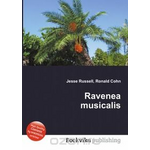 Ravenea musicalis