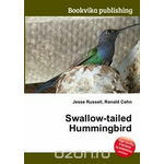 Swallow-tailed Hummingbird