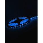 Светодиодная лента Neon-Night SMD 5050 60led/m 12V 72W 5m IP65 Blue 141-493-0