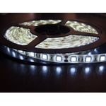 Светодиодная лента MTF Light 5050SMD 12V 36W 5m IP65 White