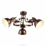 Светильник потолочный Arte Lamp MARTIN A5216PL-3BR