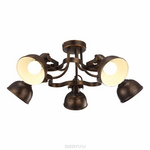 Светильник потолочный Arte Lamp MARTIN A5216PL-5BR