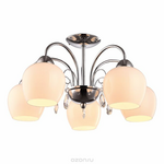 Светильник потолочный Arte Lamp MILLO A9548PL-5CC