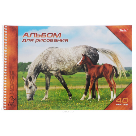 Hatber Альбом для рисования Horses 40 листов 10331