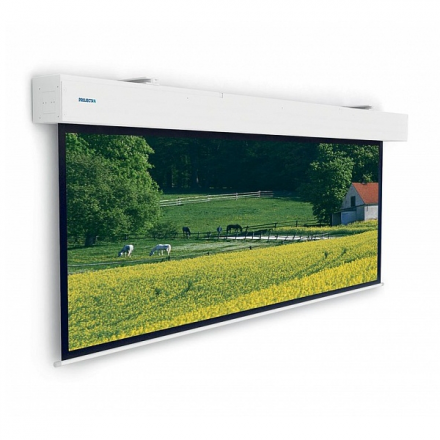 Экраны для проекторов Projecta Elpro Large Electrol (221&amp;quot;/16:9) 286x500см Matte W