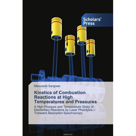 Kinetics of Combustion Reactions at High Temperatures and Pressures