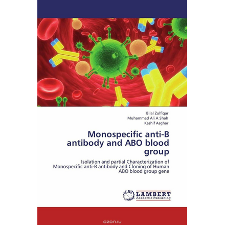 Monospecific anti-B antibody and ABO blood group