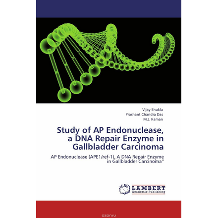 Study of AP Endonuclease, a DNA Repair Enzyme in Gallbladder Carcinoma