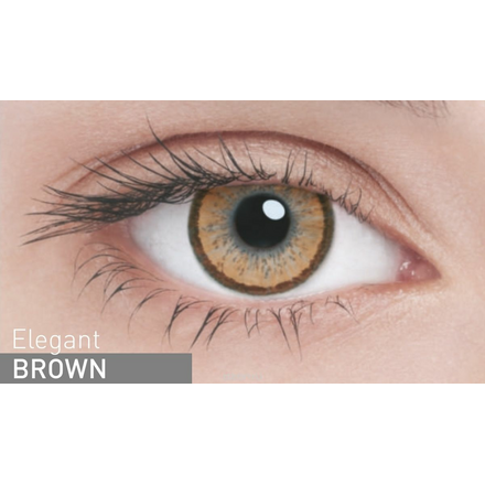 Adria Контактные линзы Elegant color / 2 шт / -2.50 / 8.6 / 14.2 / Brown ФМ000002069