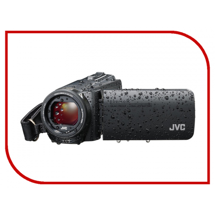 Видеокамера JVC Everio GZ-R495BEU