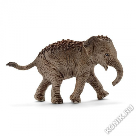 Азиатский слон, детеныш (Schleich 14755)