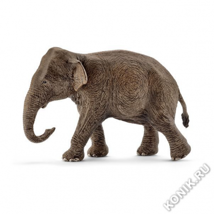 Азиатский слон, самка (Schleich 14753)