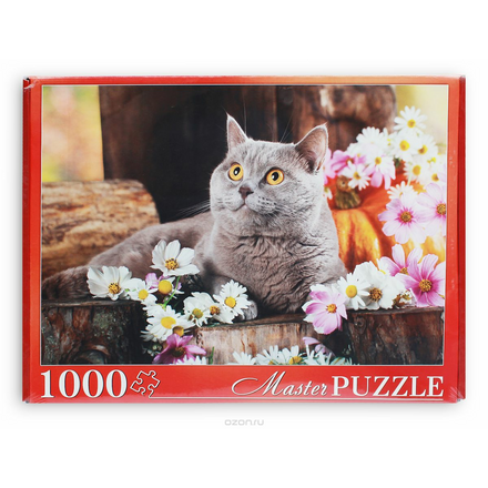 Masterpuzzle Пазл Красивый британский кот ГИМП1000-6879