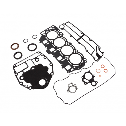 Ремкомплект прокладок блока Yamaha F40-60 6C5W00010000