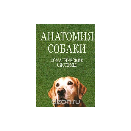 Анатомия собаки. Соматические системы