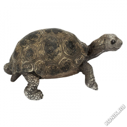 Гигантская черепаха, детеныш (Schleich 14643)