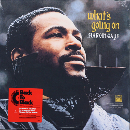 MARVIN GAYE MARVIN GAYE-WHAT'S GOING ON (180 GR) Motown