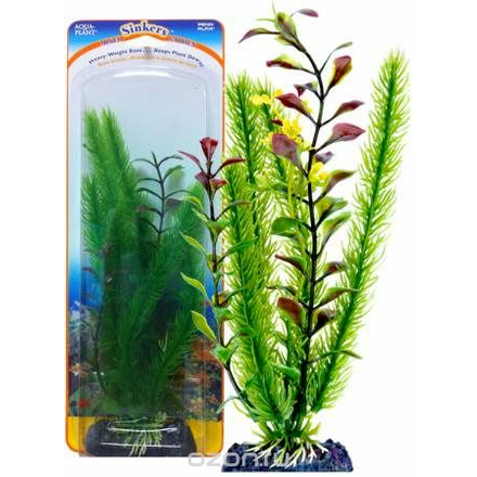 Растение-композиция CLUB MOSS-BLOOMING LUDWIGIA 20см. ЛЮДВИГИЯ-КРИПТОКОРИНА