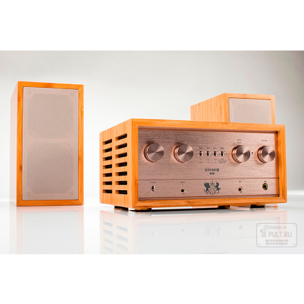 Домашние кинотеатры iFi Audio Retro Stereo 50 + LS3.5