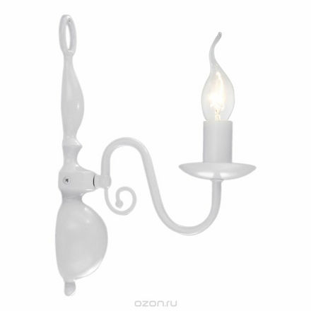 Светильник настенный Arte Lamp Antwerpen A1029AP-1WC