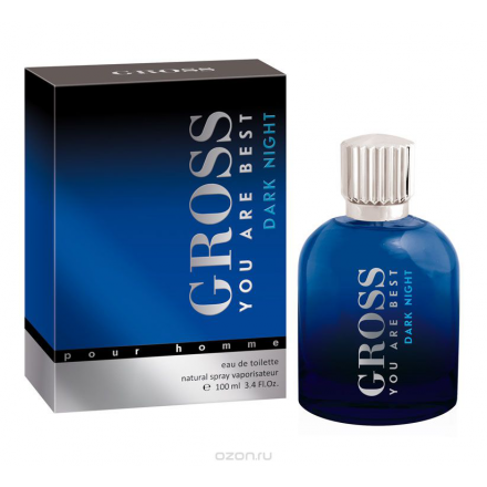 Christine Lavoiser Parfums Туалетная вода Gross Dark Night, мужская, 100 мл