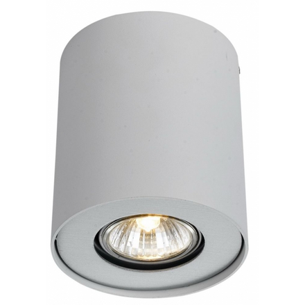 Потолочный светильник  Falcon A5633PL-1WH Arte Lamp (1117387)